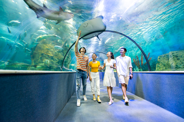 Vinpearl Aquarium Times City Review - DUDE OI